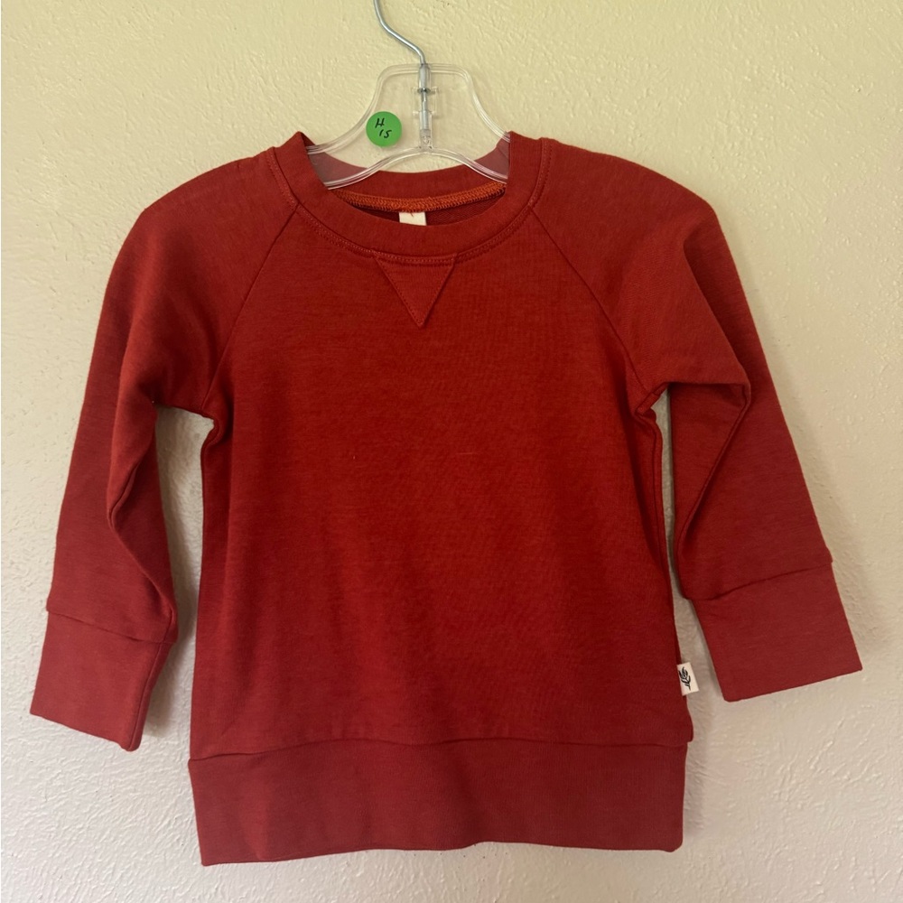 Boys Baby Sprouts Rust Sweater